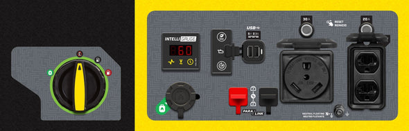 Champion Model: 200977 3500/4250W Dual Fuel Digital Hybrid Open Frame Inverter