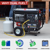 DuroStar DS12000EH 12000-Watt 18 HP Portable Dual Fuel Gas Propane Generator
