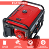 DuroStar DS5500EH 5500-Watt 224cc Electric Start Dual Fuel Hybrid Portable Generator