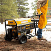 Firman P05701 - 7125/5700 Watt 30a 120/240v Recoil Start Gas Portable Generator