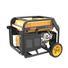 FIRMAN Model H07552 7500 Watt Dual Fuel Electric Start & Recoil Generator