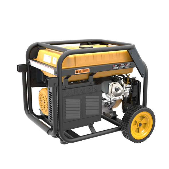 FIRMAN Model H07552 7500 Watt Dual Fuel Electric Start & Recoil Generator