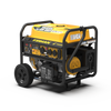 FIRMAN P08008 Gas Portable Generator 10000w Remote Start 120/240v With Co Alert